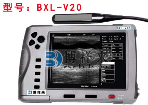 獸用B超機(jī)BXL-V20
