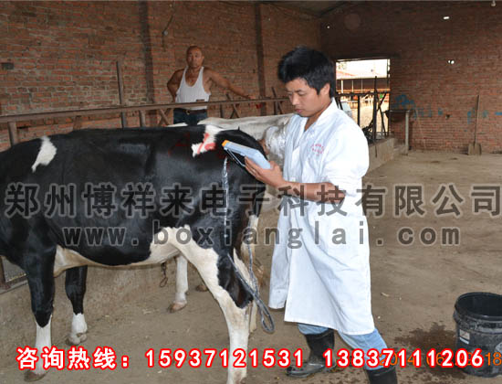 牛用B超培訓(xùn)現(xiàn)場(chǎng)