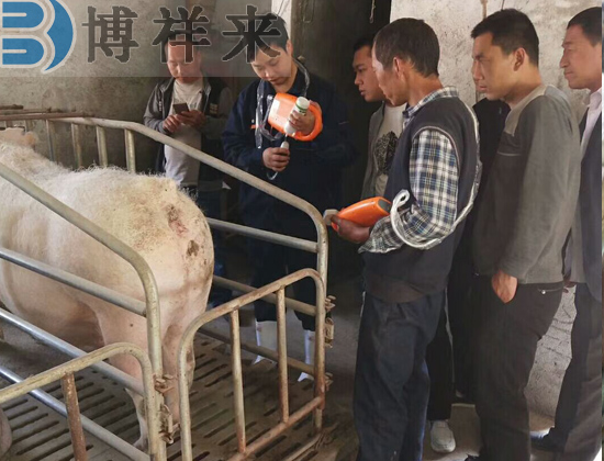 便攜式獸用B超檢測母豬培訓現(xiàn)場
