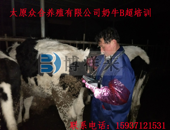獸用B超機(jī)BXL-V20山西用戶