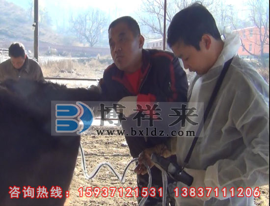 獸用B超機(jī)河北客戶培訓(xùn)現(xiàn)場(chǎng)
