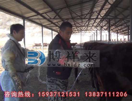 獸用B超機(jī)河北客戶培訓(xùn)現(xiàn)場(chǎng)