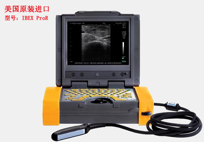 進(jìn)口獸用B超IBEX Pro/R主機(jī)示意圖