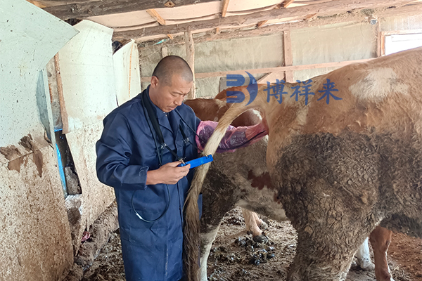 高清牛用B超機(jī)