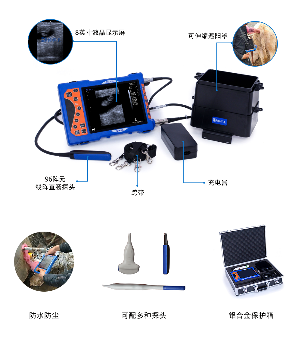 高清豬羊B超機BXL-V50